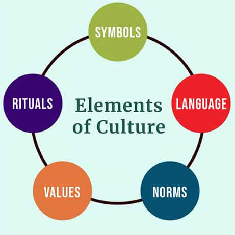 culture elements cultural social values behaviour symbols